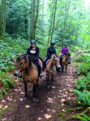 Group horseback trail ride through lush green forest path