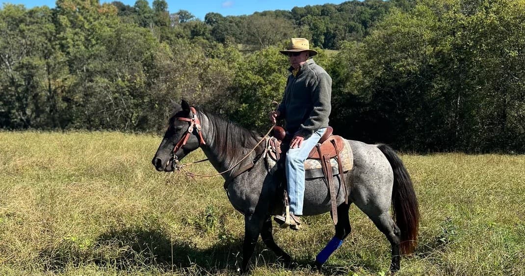 Horseback Riding at R&M Stables in Hendersonville