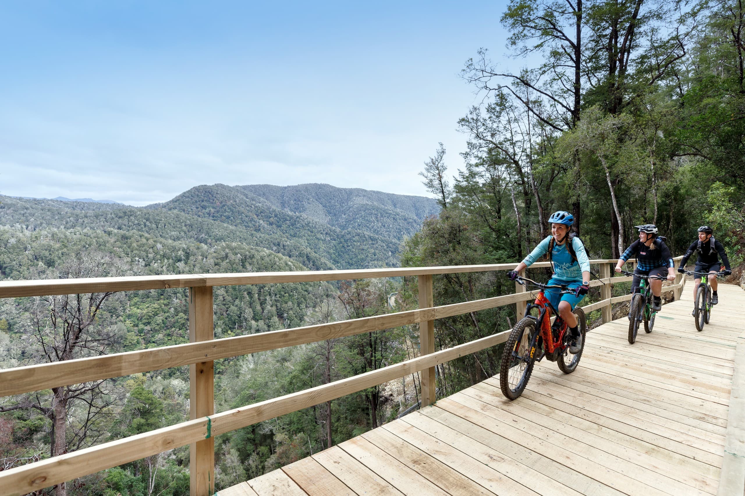 Coppermine Trail Ride: 17km Grade 4 Descent Through Beech Forest in Nelson photo 2