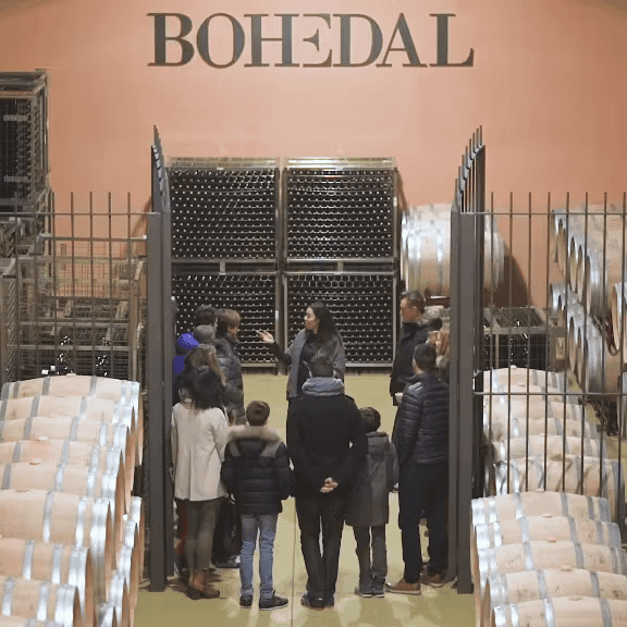 Discover Bohedal Winery: Immersive Wine Tasting Experience in La Rioja