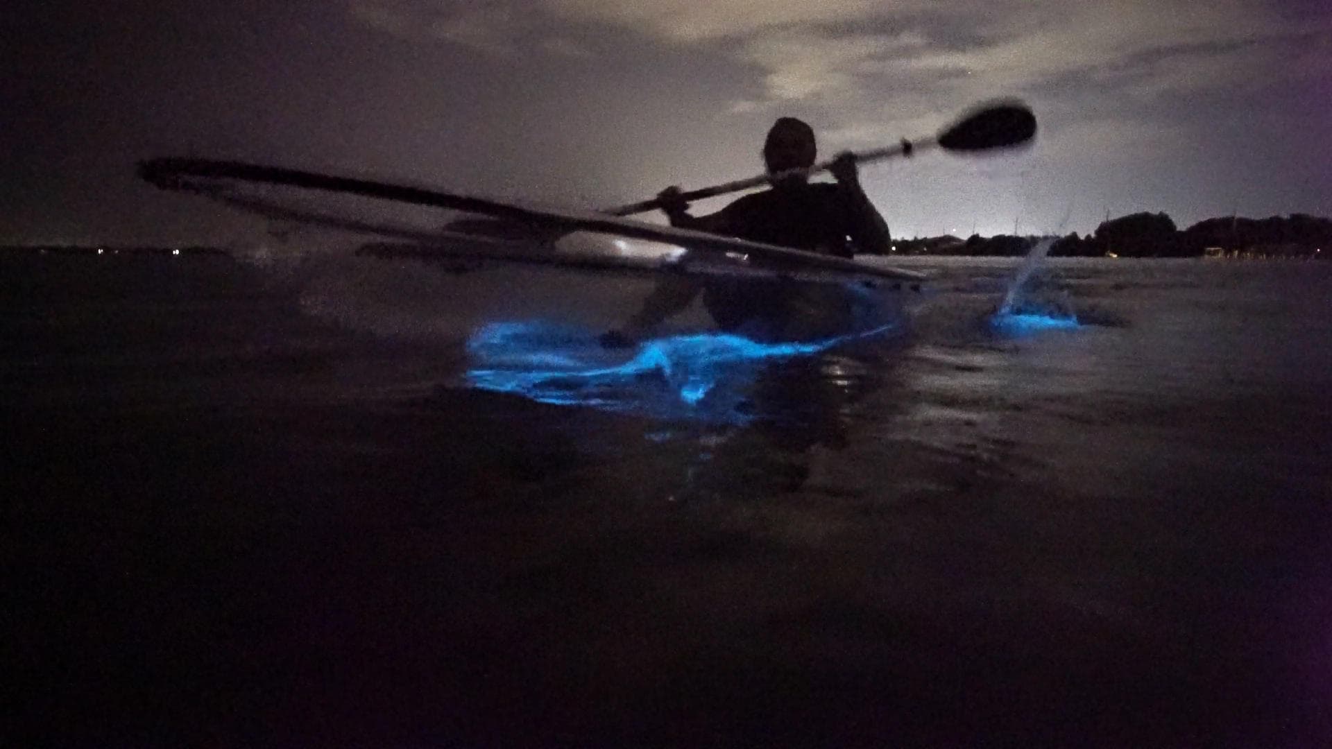 Clear Kayak Bioluminescence Tour with A Day Away Kayak Tours