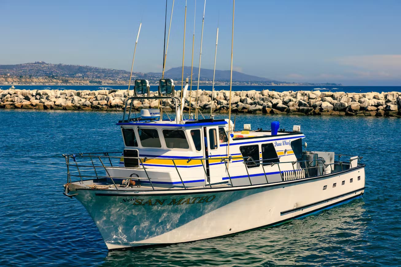 EPIC Whale Watching Adventure in Dana Point, California