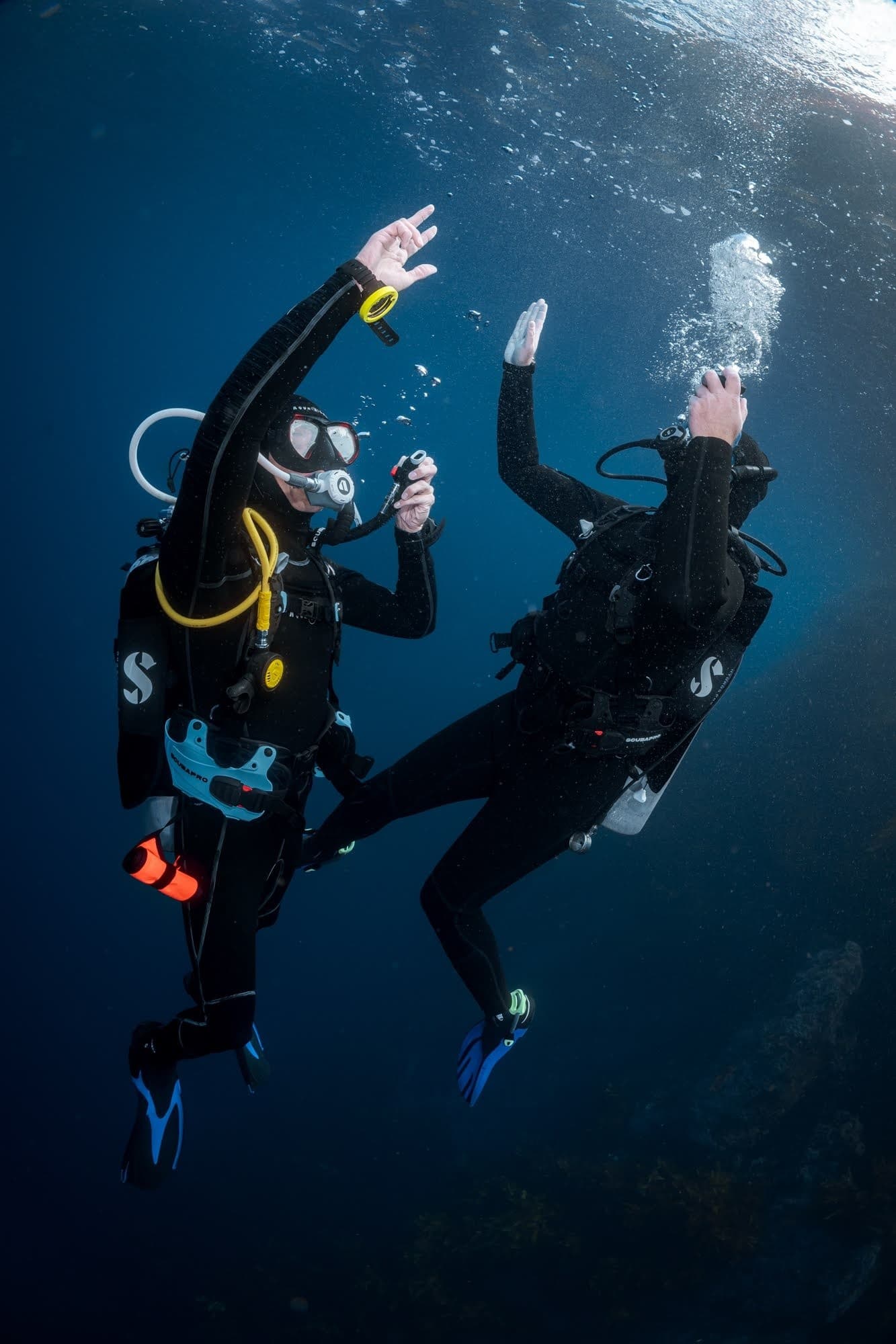 Junior Open Water Course at Poor Knights Islands — PADI Certification for 10–11-Year-Olds photo 2