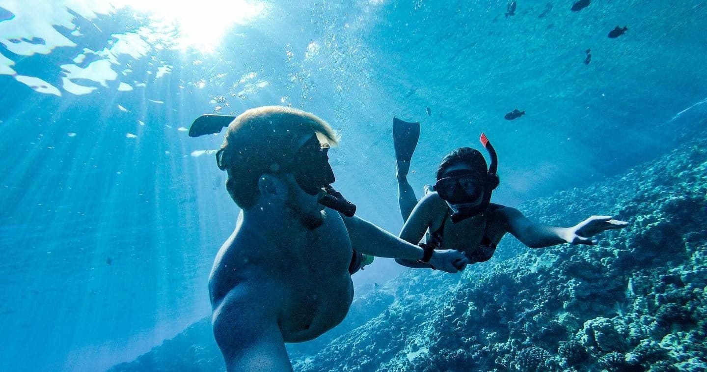 2n1 Semi-Private Eco-Raft Snorkel & Whale Watch in Lahaina