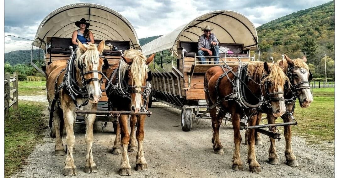 Waterfall & Nature Adventures with Ole Covered Wagon Tours