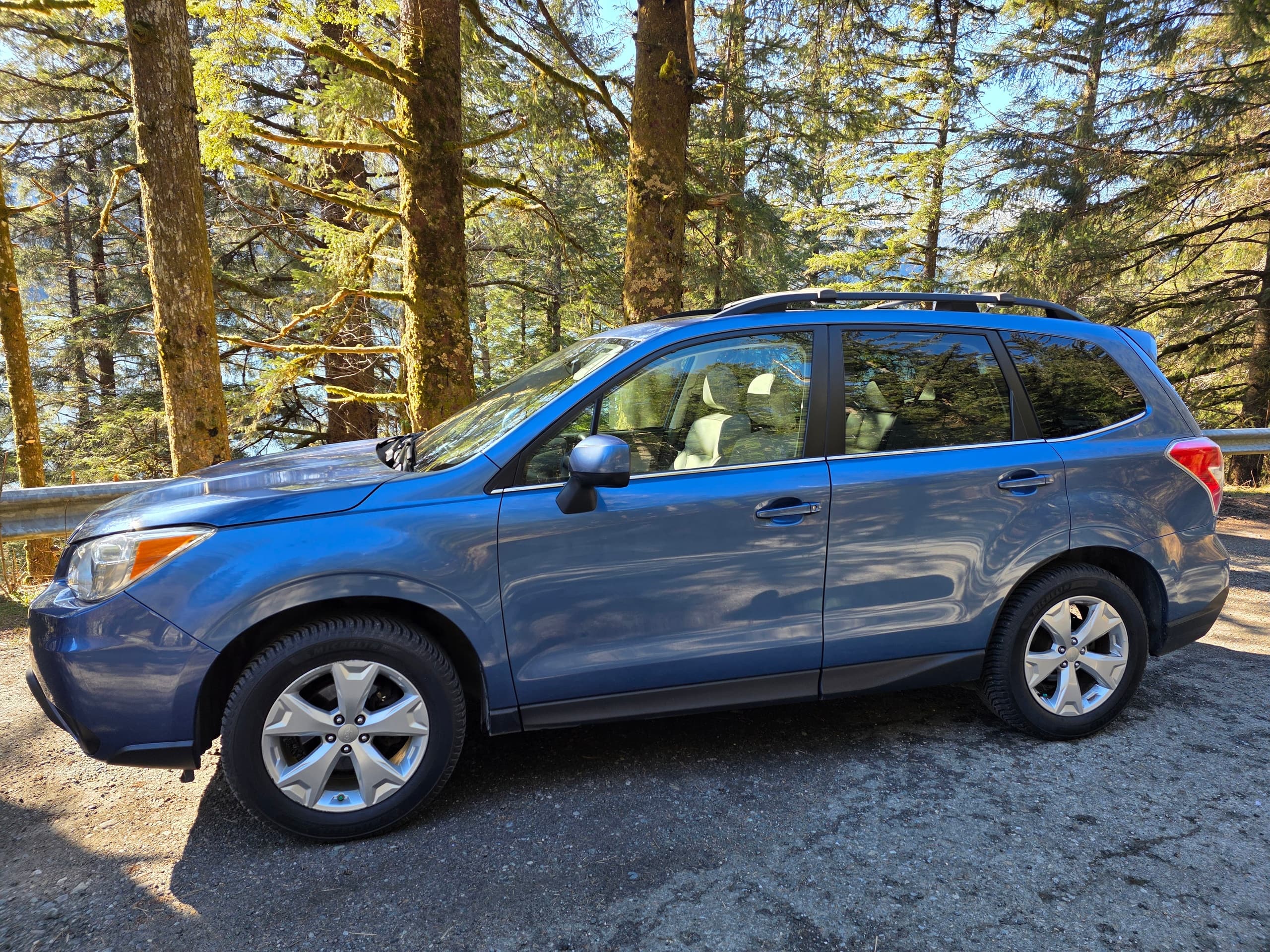Blue SUV stopped on forest overlook during scenic drive