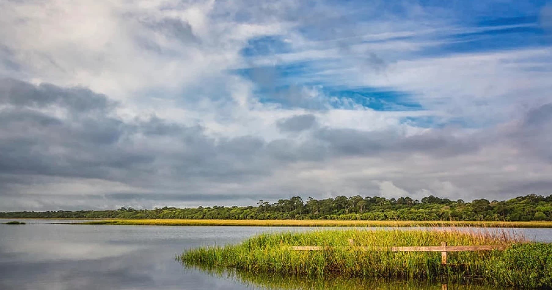 Wildlife & Waters: River Lion Excursions' Eco Trip in St. Augustine