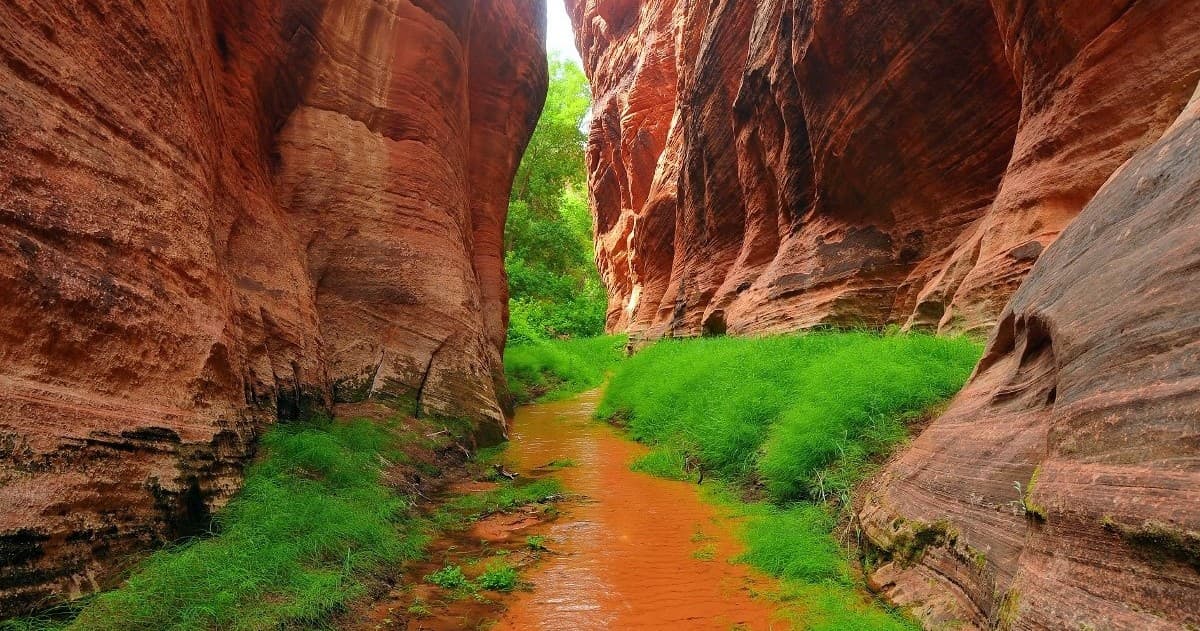 Backcountry Adventure in Utah’s Shunesburg Desert Forest