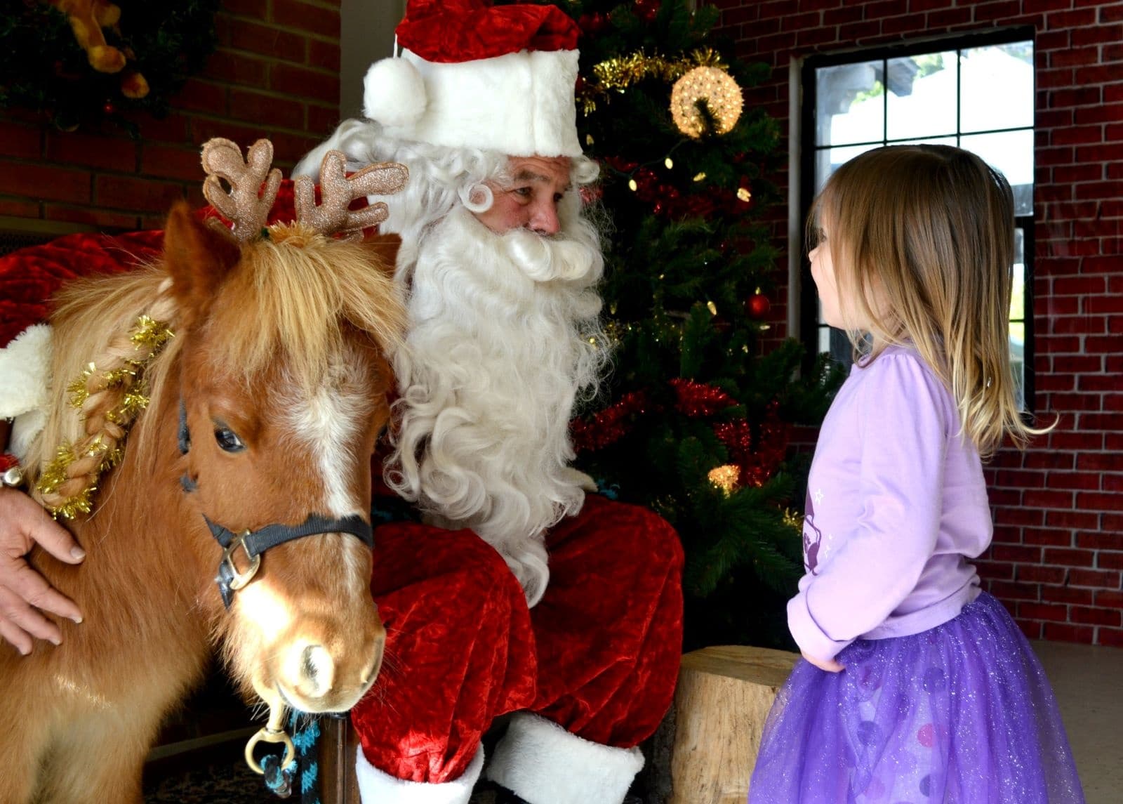 Wild Winter Family Festival in Del Mar, California