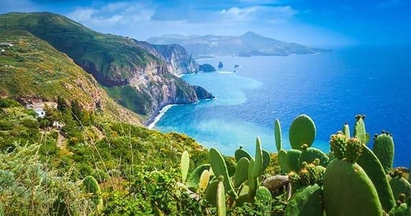 Coastal cliffs and cactus overlooking bright Mediterranean sea