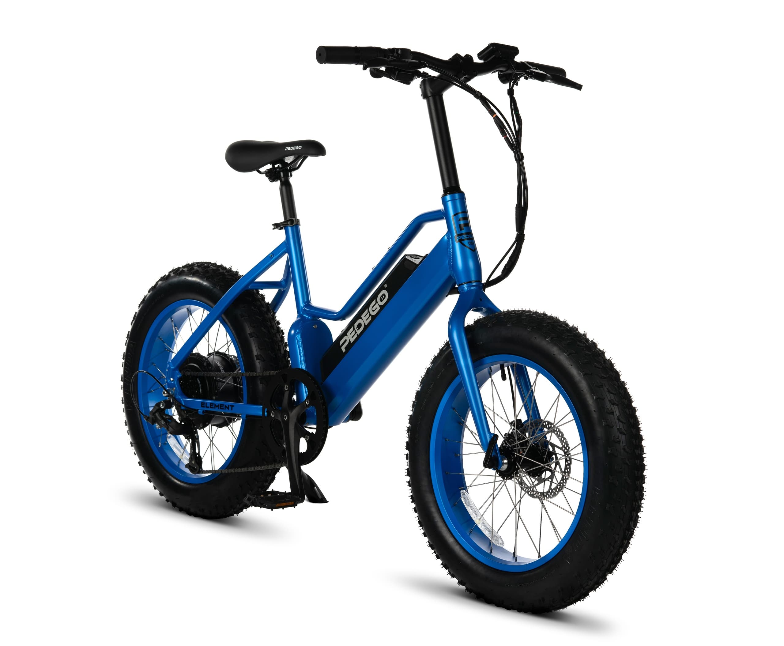Electric Bike Adventures with Pedego 30A in Santa Rosa Beach