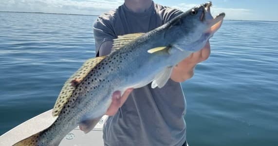 Four-Hour Flats Fishing: Tarpon, Bonefish & Permit Outing from Key West photo 1