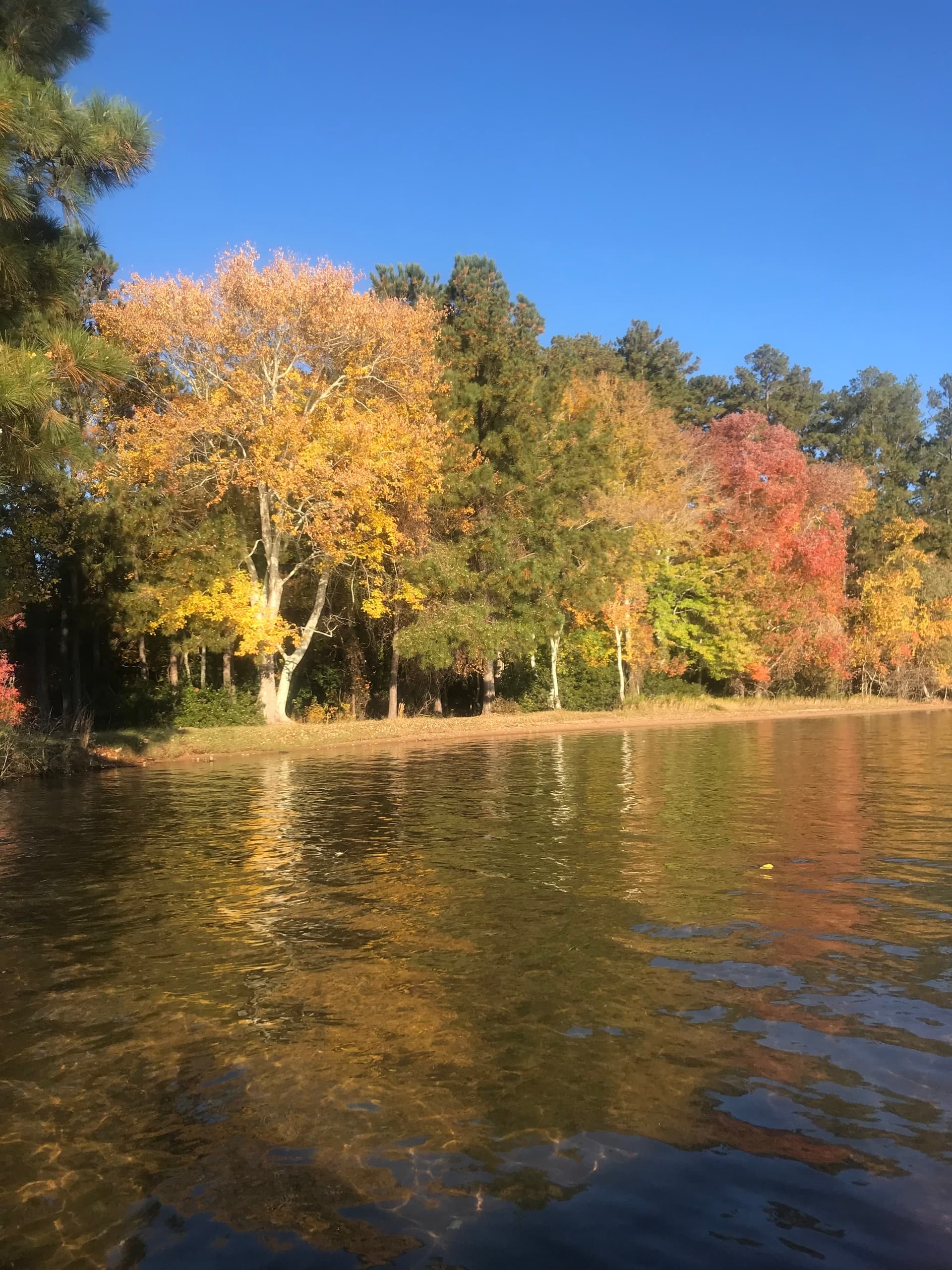Autumn river shoreline with colorful fall foliage reflection