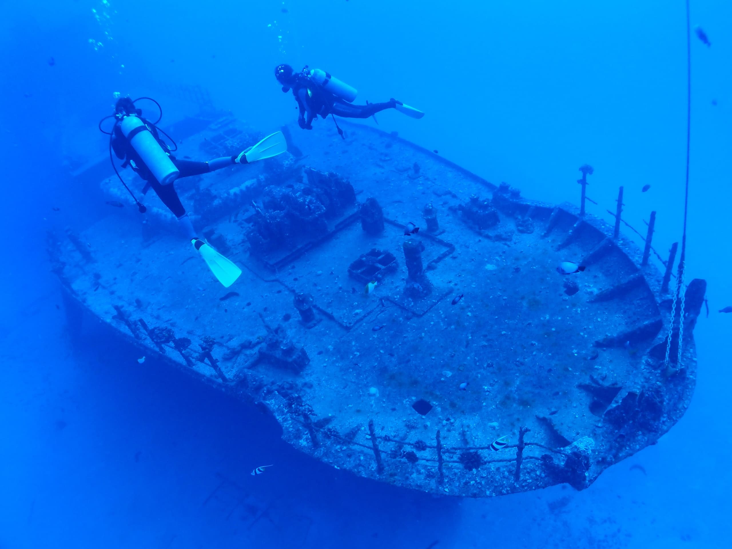Wreck Diving Adventures with Hau'oli Ocean Style in Waikiki