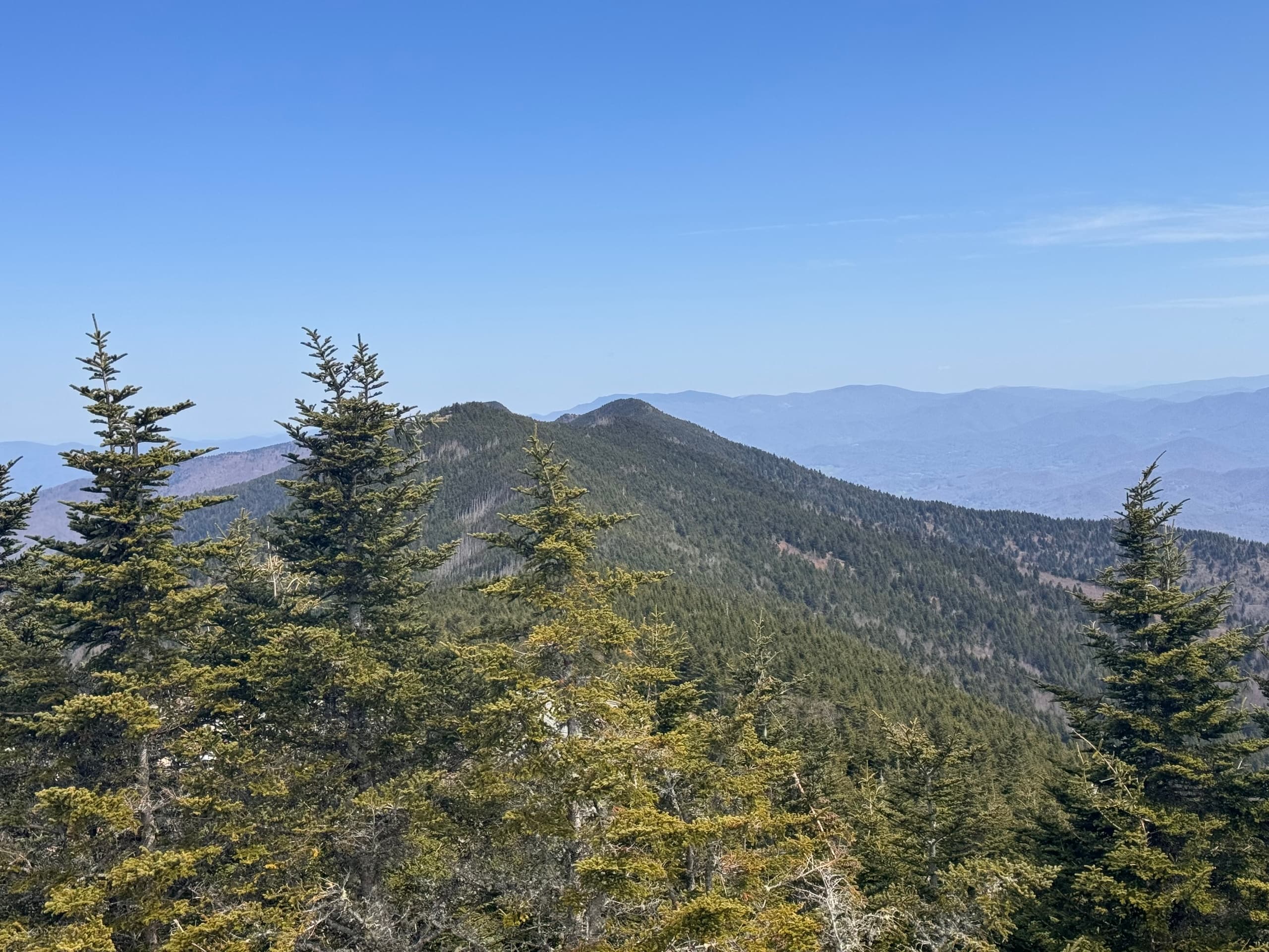 Mt. Mitchell Adventure with TP's Day Trip Adventures