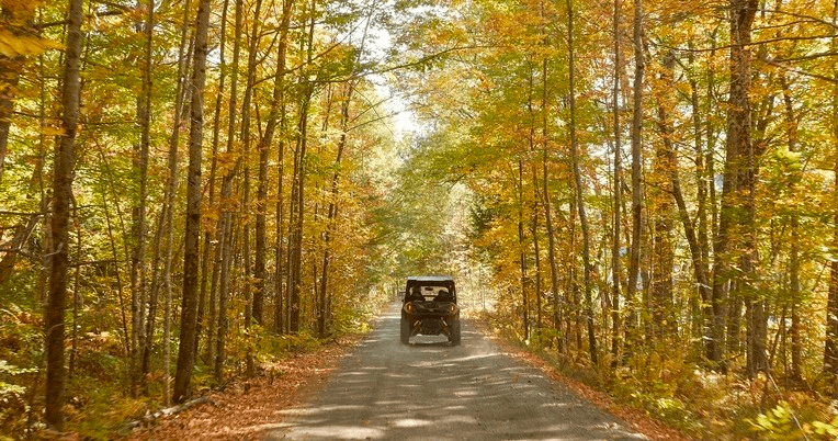 UTV driving down fall tree-lined road in forest tour