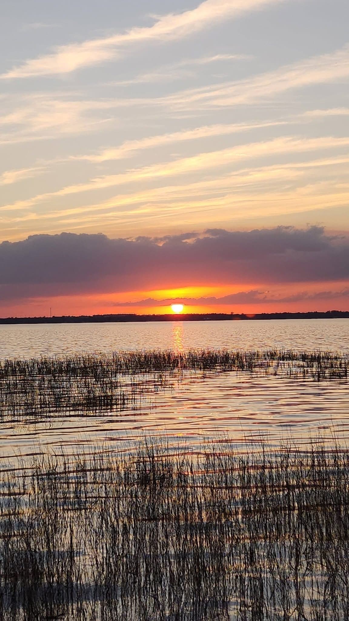 Lake Pierce Airboat Adventure: Wild Alligators and Private Florida Waterways photo 1