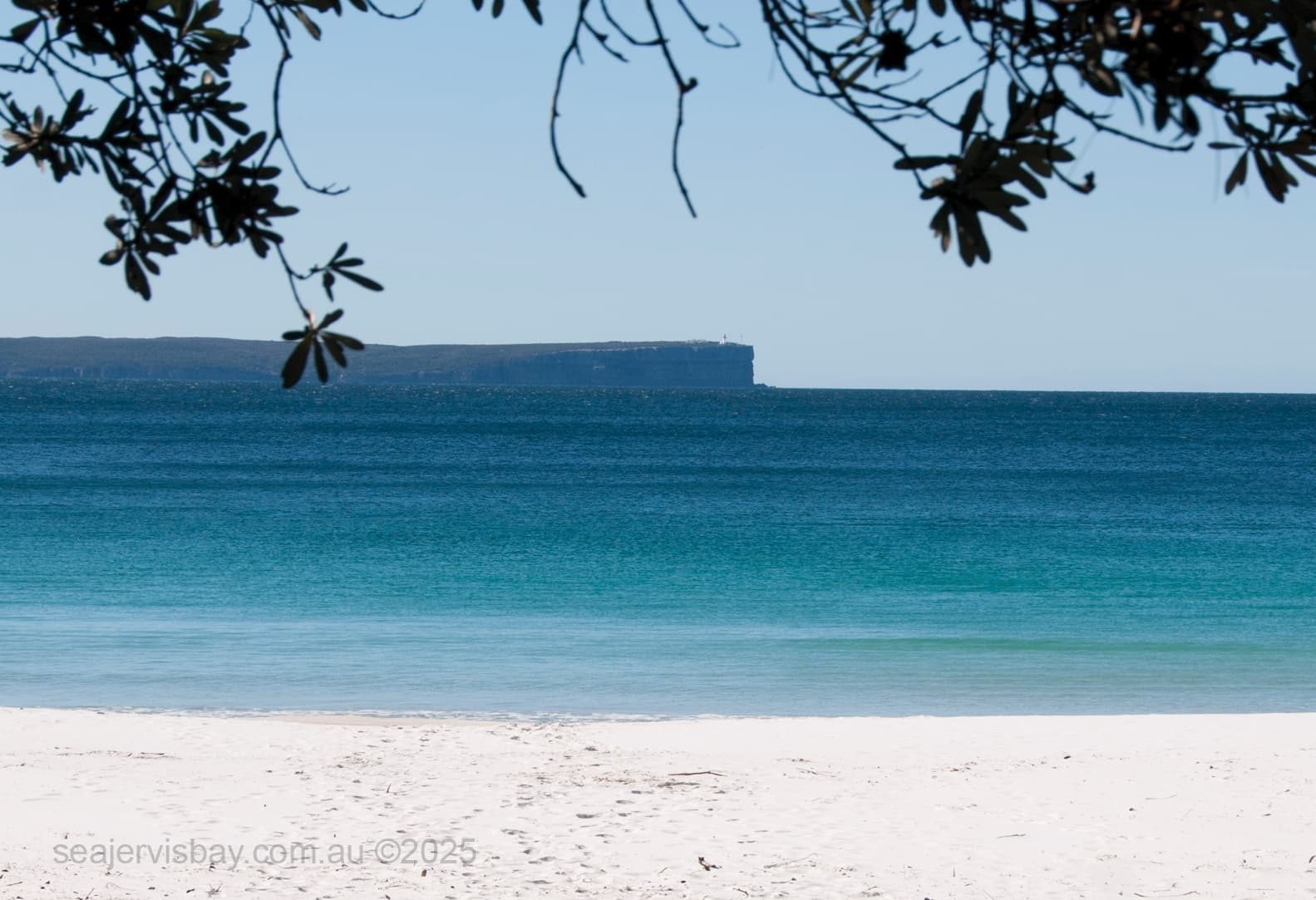 Sea Jervis Bay fleet