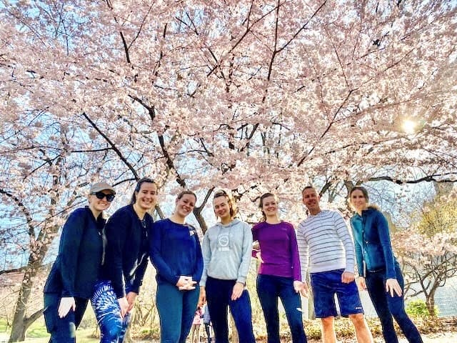 Cherry Blossom Running Tour with City Fit Tours in New York
