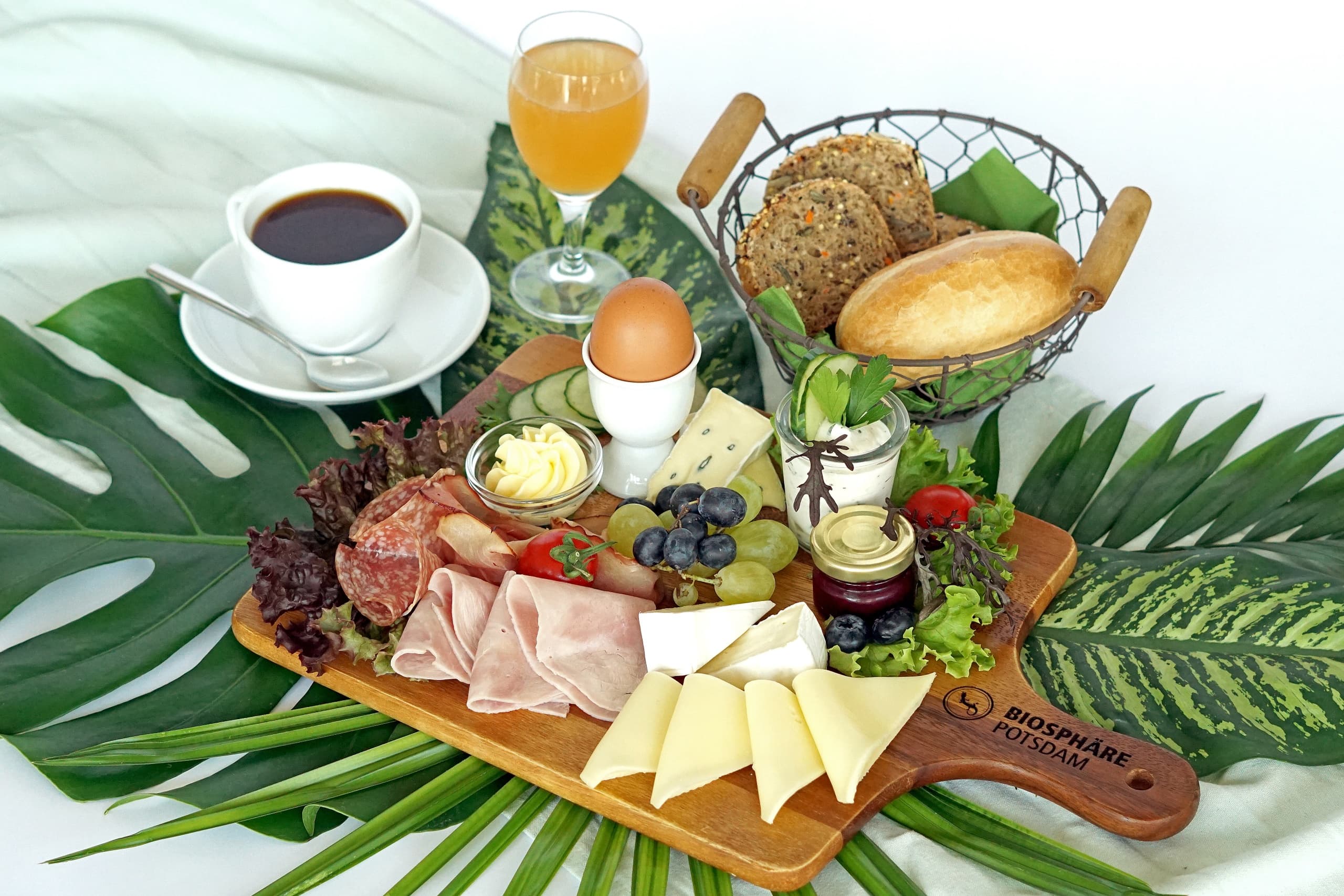 Brunch Under Palms at ProPotsdam Naturerlebnis GmbH in Potsdam