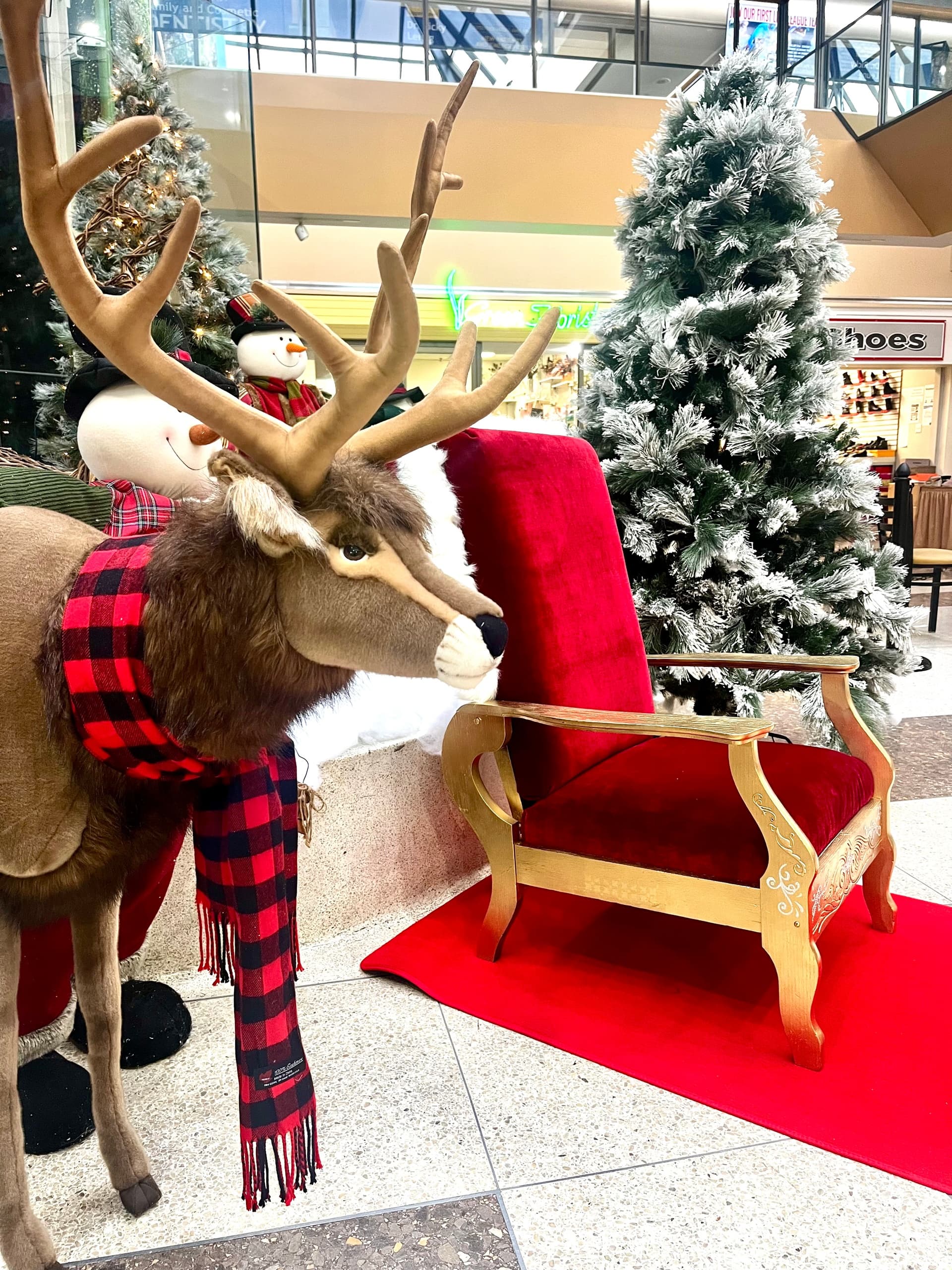 Santa Chair Rental for Holiday Photos in Toronto photo 3