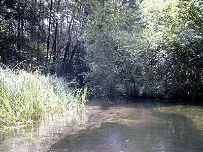 Paddling the Lindower Rhin: Day Tour from Zippelsförde to Neumühle