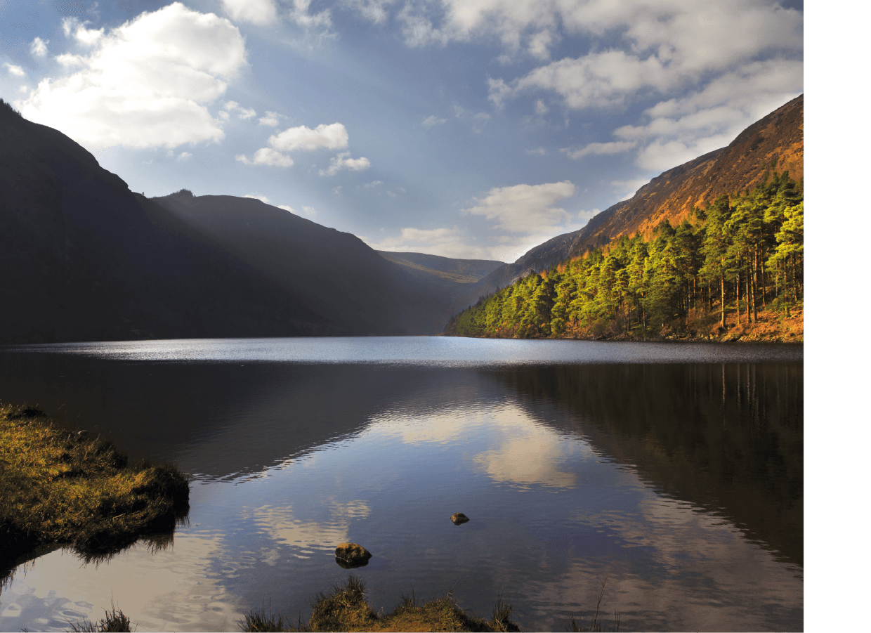 Wild Wicklow Day Tour by Wild Wicklow Tours in Ireland