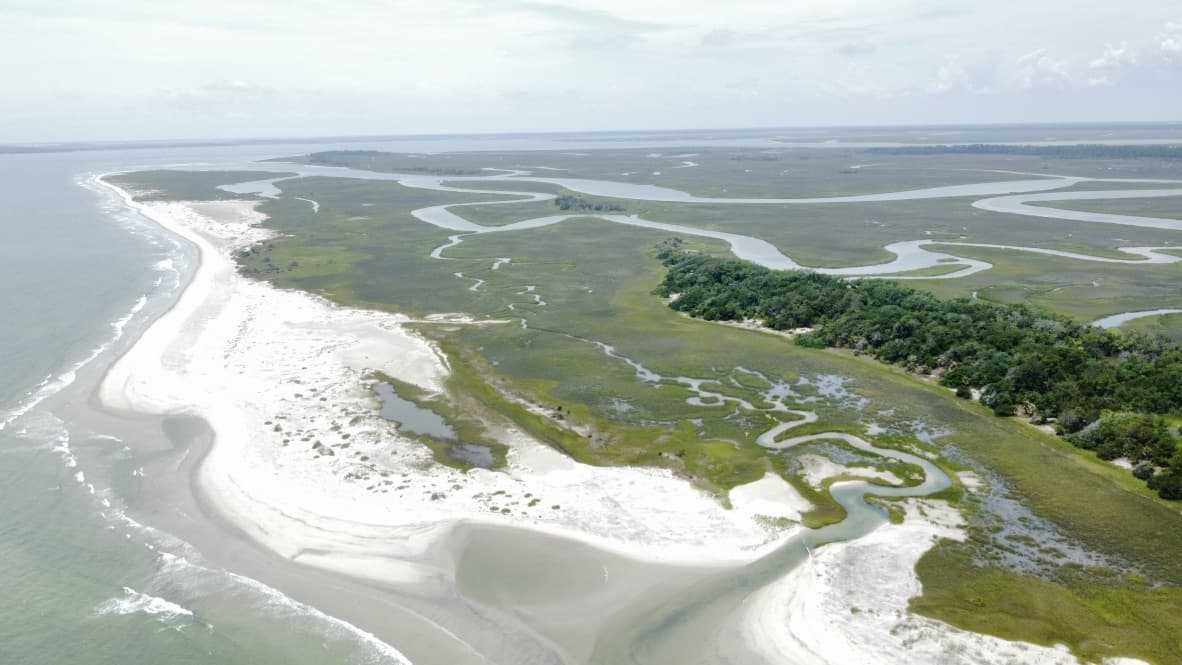 Explore Tybee Island’s Hidden Marshes on a 90-Minute Private Dolphin Tour