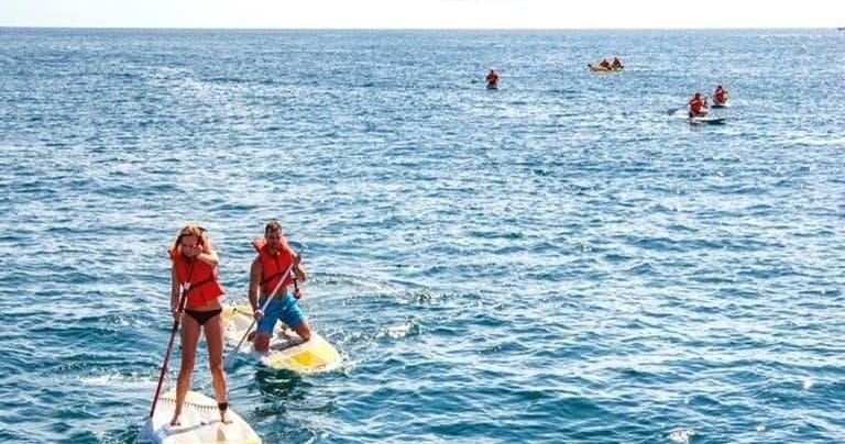 Stand-up paddleboarders navigating open ocean waters on tour