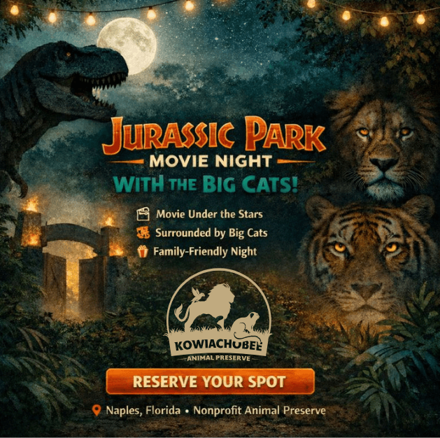 Movie Night with the Big Cats: Jurassic Park at Kowiachobee Animal Preserve