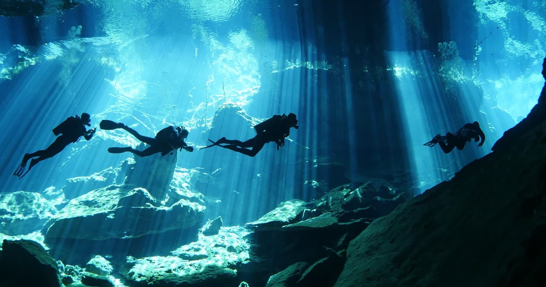 Cenote Dive: Guided Cavern Dives from Playa del Carmen photo 3