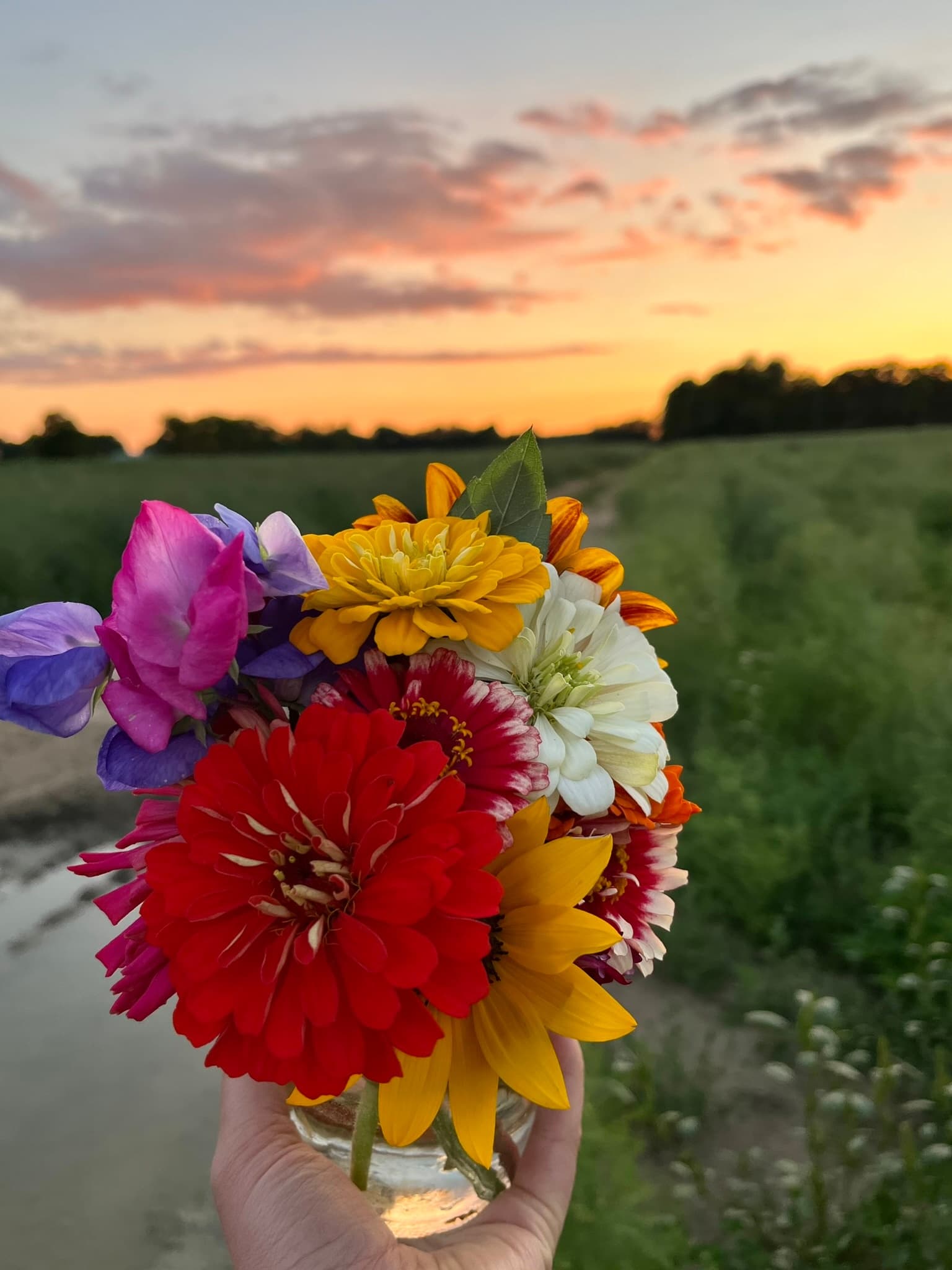 Hand holding wildflower bouquet at sunset in grassy meadow