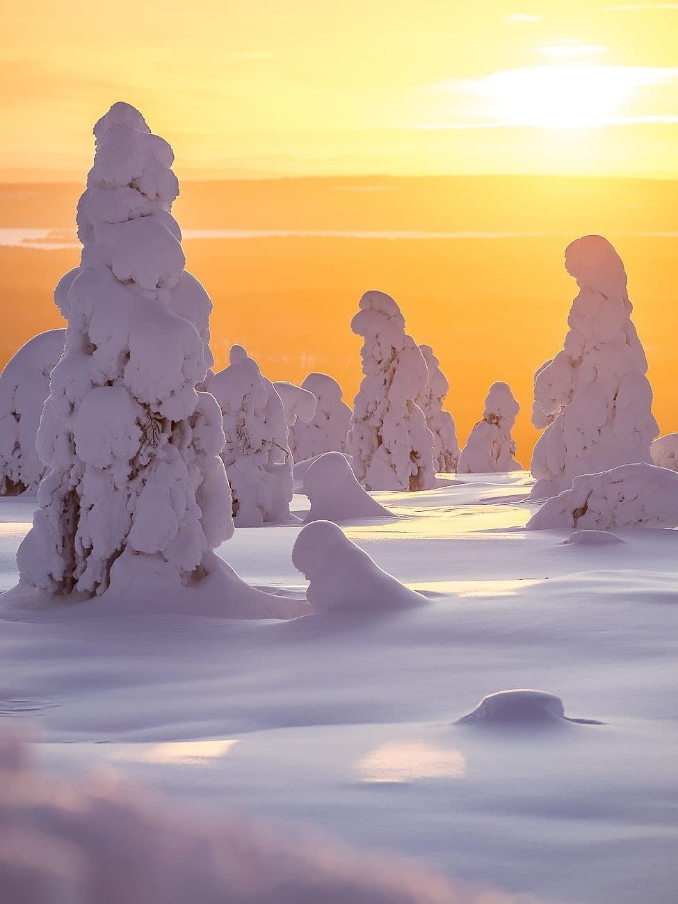 Day Trip from Oulu to Santa Claus' Village: Arctic Circle Winter Hike
