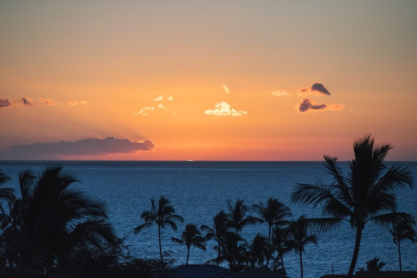 Private Kona Sunset Tour: Coffee Tastings, Pololū Cliffs & a West Hawaii Sunset