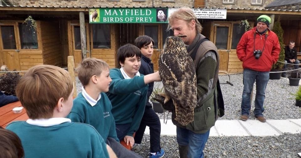 Harris Hawk Walks: Private Falconry Experiences in County Waterford photo 3