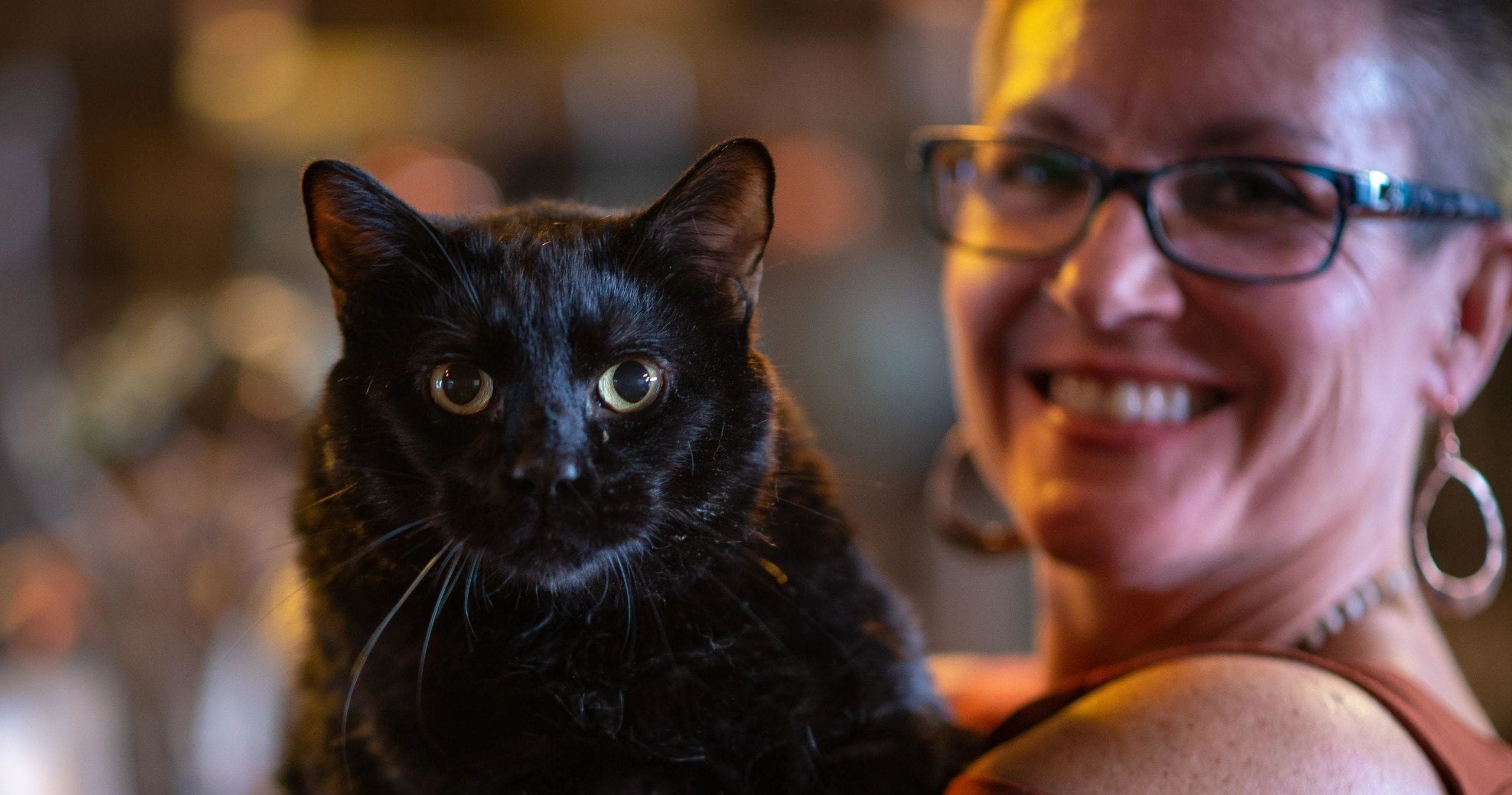 Black cat being held in indoor cafe with smiling owner, portrait