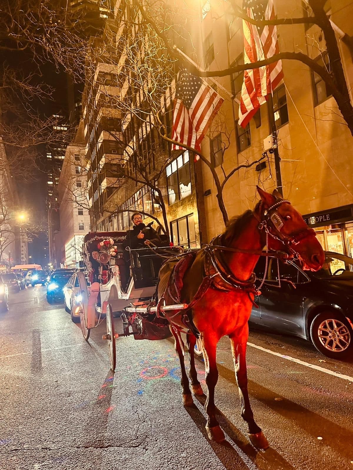 Horse-Drawn Carriage Ride in NYC's Central Park at Night with Liberty Carriage Tours