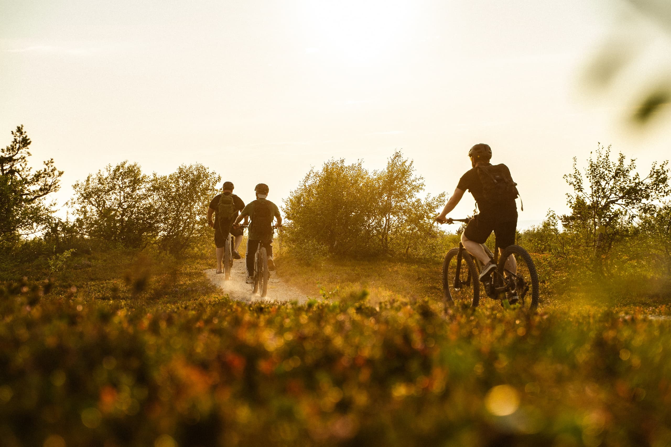 E‑MTB Through Pyhä‑Luosto: Half‑Day Fell & Forest Adventure photo 1