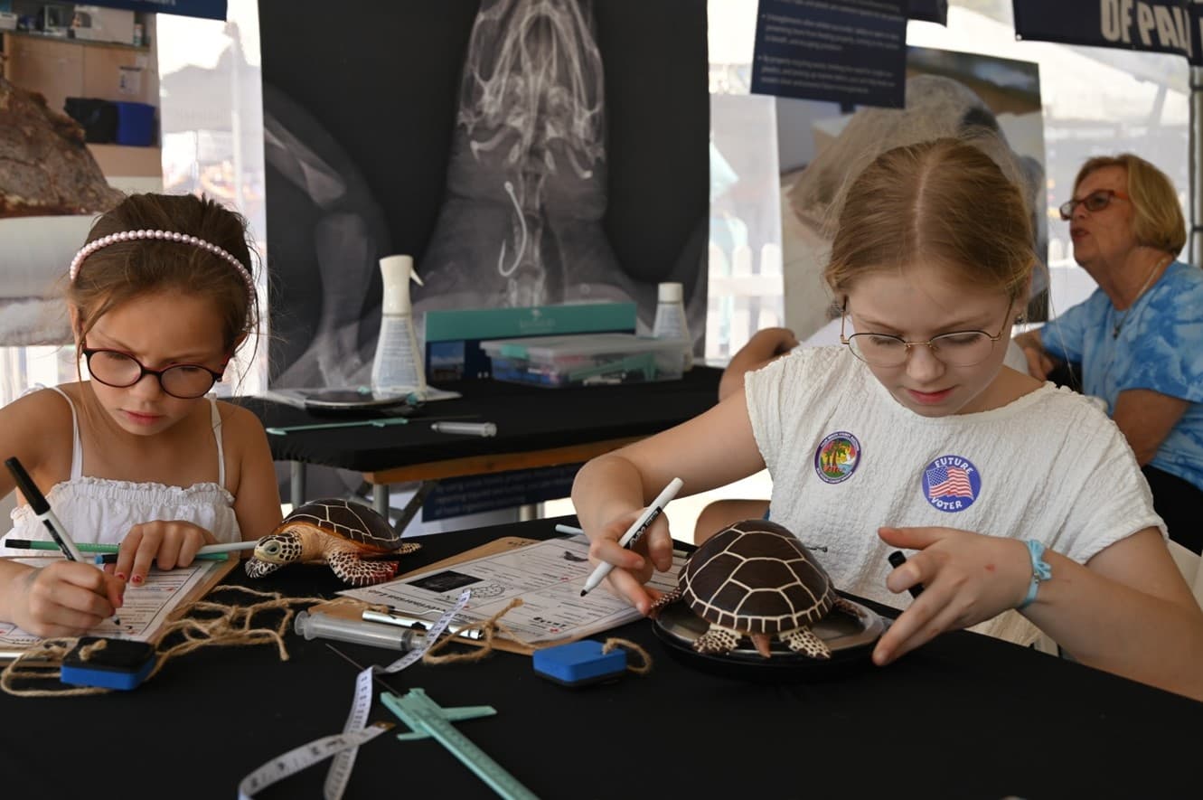 Jr. Veterinarian Lab at Loggerhead Marinelife Center, Florida