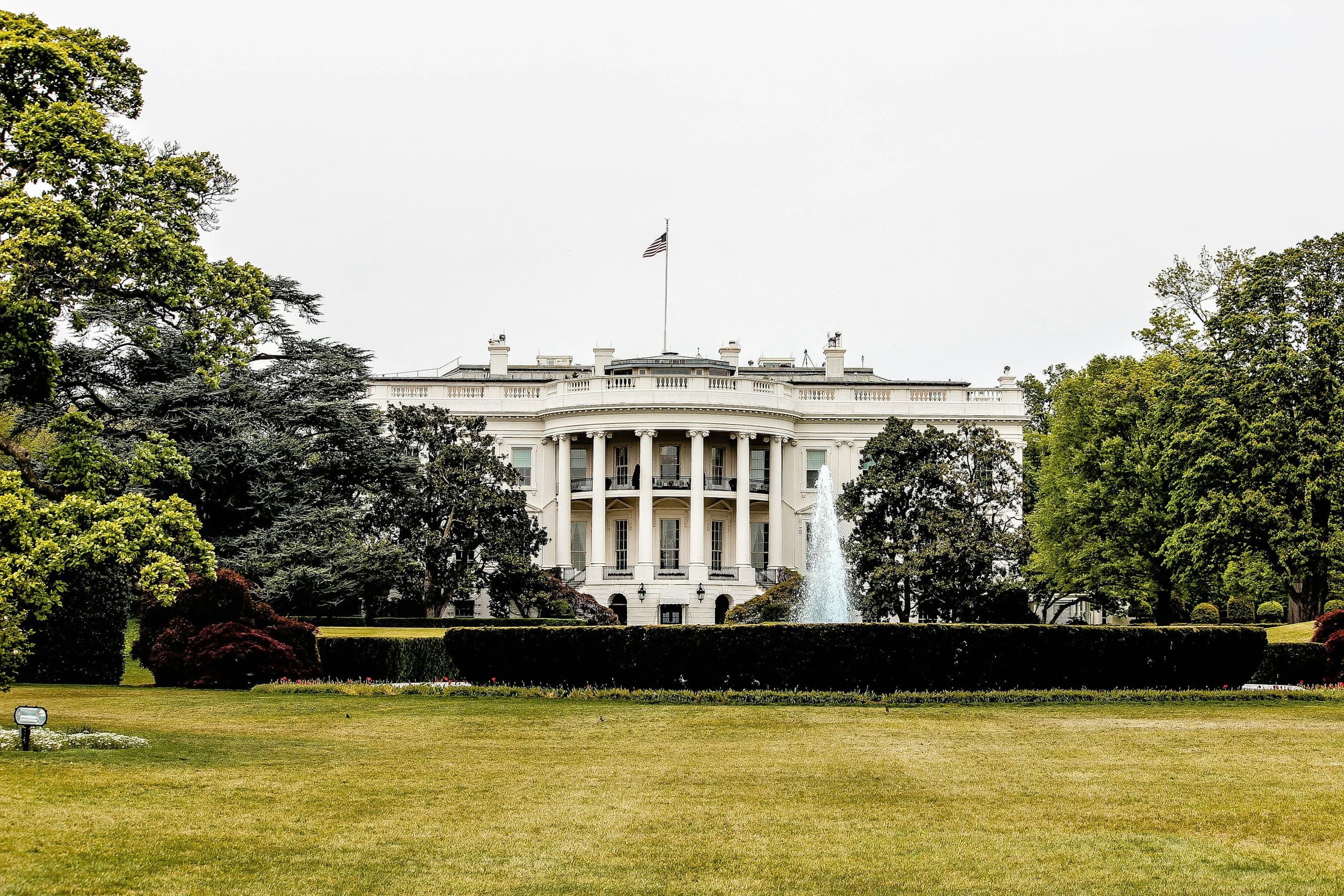 Land Adventures in Washington DC with RSN Enterprises