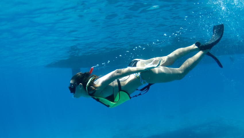 West Oahu Dolphin Watch & Snorkel Sail Adventure