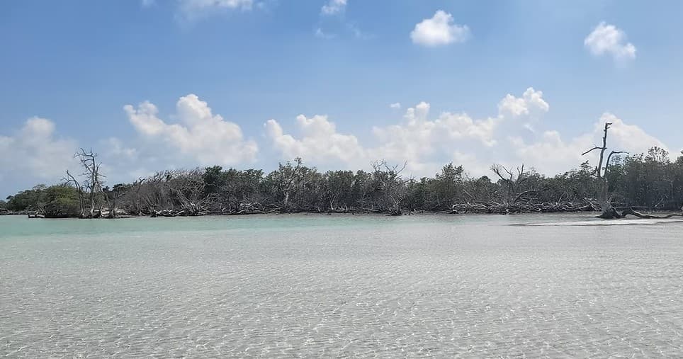 Key West Eco & Harbor Tour with Blue Horizon
