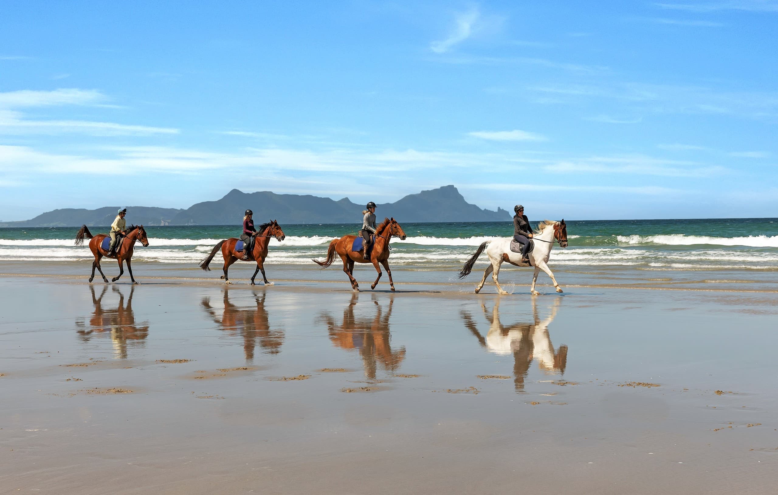 Private Trek: Family-Friendly Beach and Bush Horseback Ride in Waipu, Northland