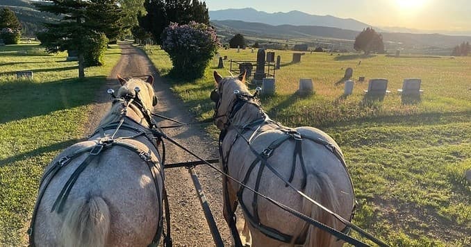 View from carriage of two draft horses driving at sunset