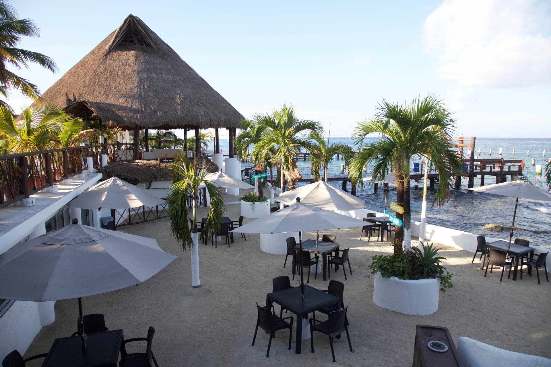 Stingray and Shark Snorkel in Cozumel: Swim with Rays & Sharks + Lunch photo 3