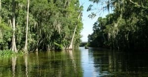 Boat Charters & Water Activities at Ponte Vidra Cruise