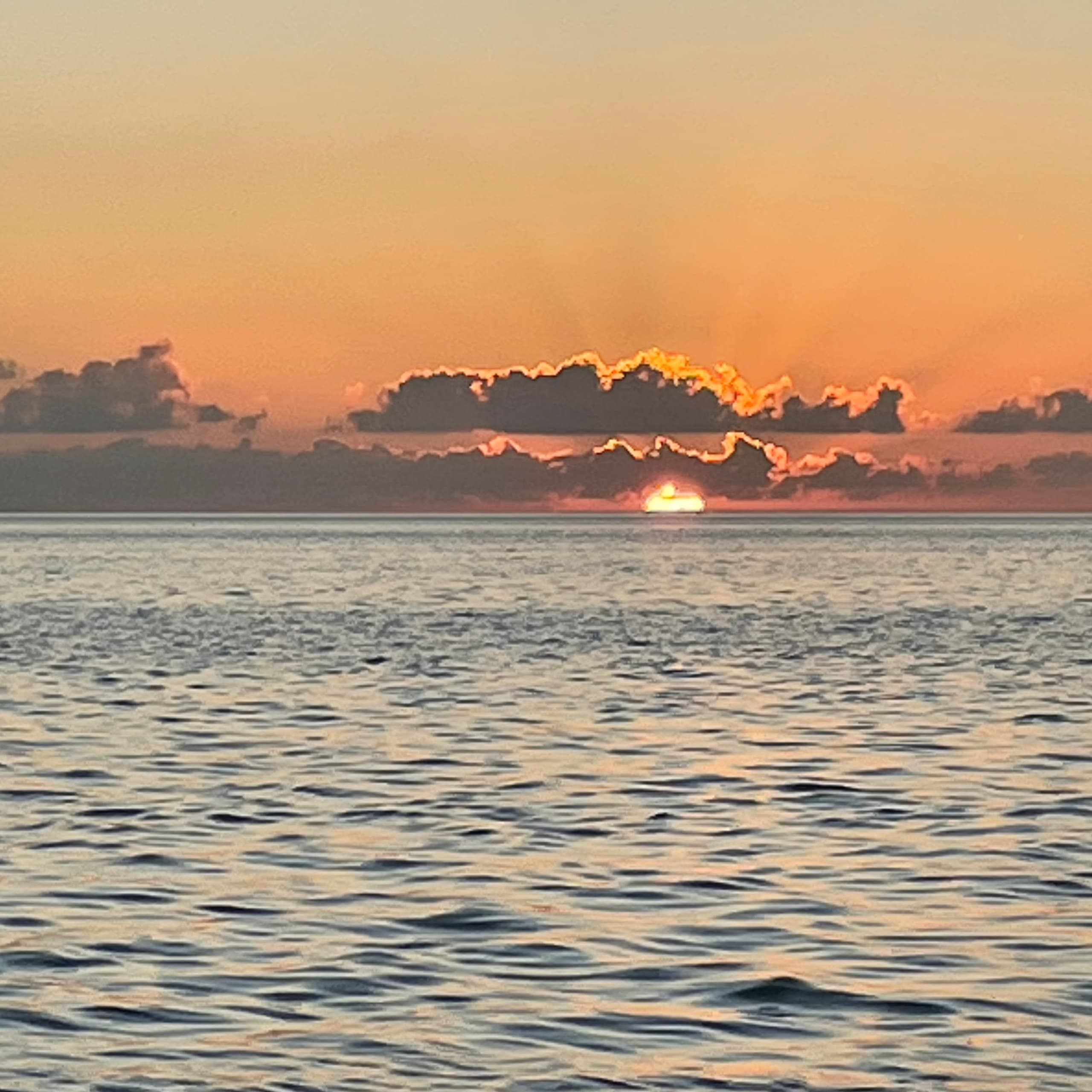 Islamorada Private Charters fleet