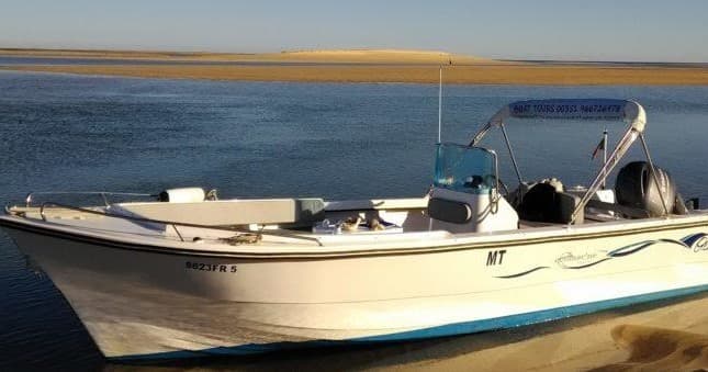 Water Activities with Ecomarine Algarve: Private Boat Tours in Algarve