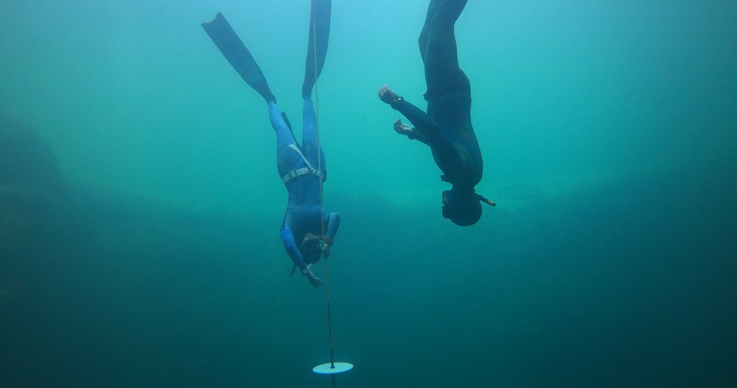 Dive Pro: Freedive Instructor Course in Monterey, CA