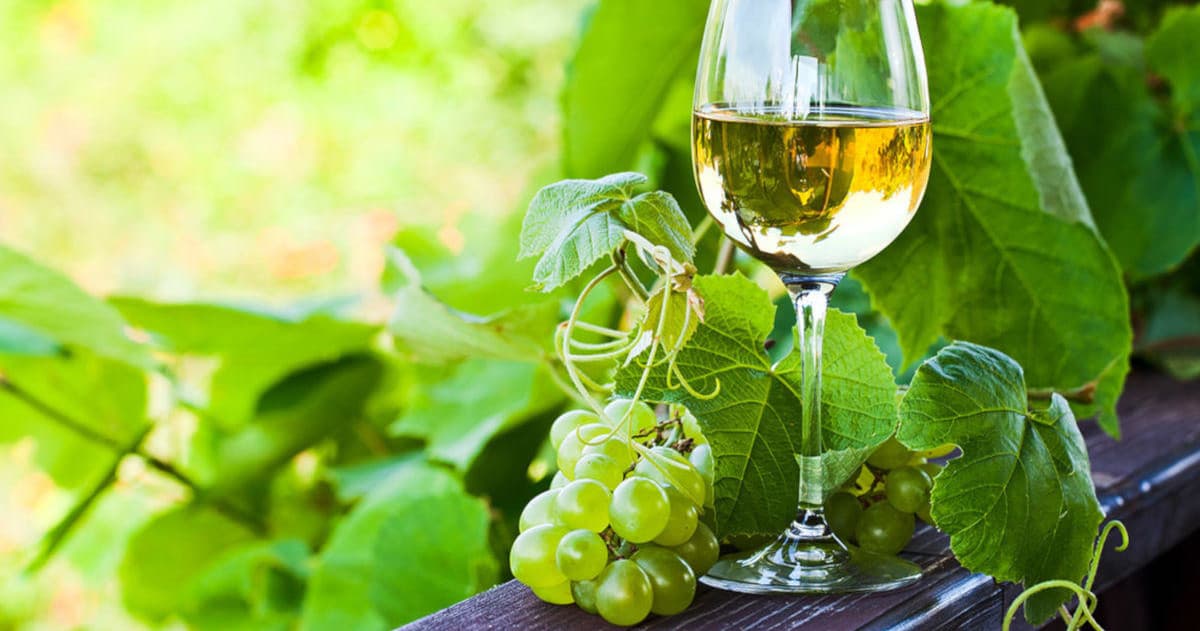 Wine & Heritage Tour at Penafiel Farm in Vinho Verde